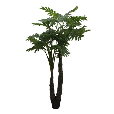 Palmier de plancher en pot philodendra