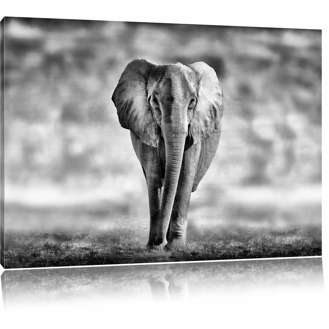 Leinwandbild Einsamer Elefant in Monochrom