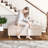 Velvet Upholstered Bench with Flip Top-871918138-871918141
