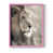 Pink n'est pas disponible