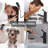 Black Single Handle Bathroom Faucet With Pull-Out Sprayer-123298062-123298065