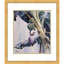 Chen Xiaoping After the Rain - Single Picture Frame Print