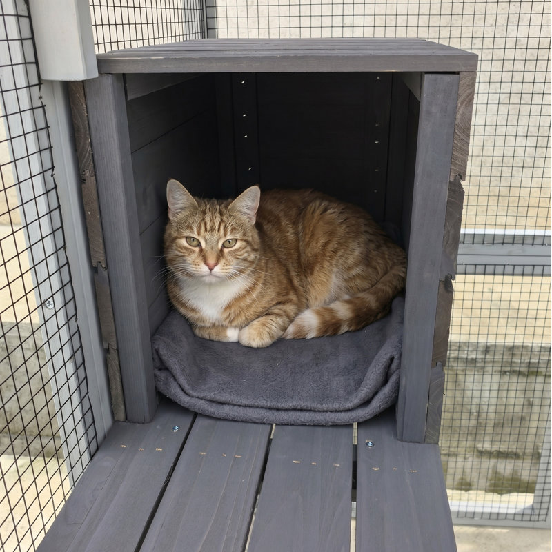 Wooden Catio for Cats