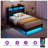 Upholstered Platform Bed with Storage, USB Charging & LED Lights - Twin/Full/Queen/King Size Wingback Design with Wooden Slats-575976582-575976583