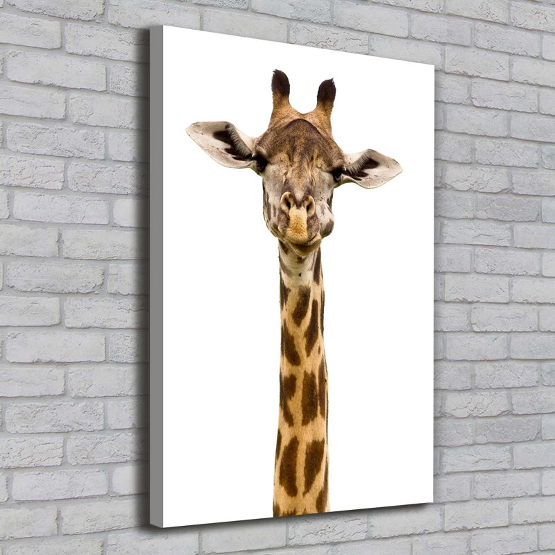 Giraffe - Wrapped Canvas Print