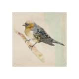 Pretty Little Bird III Print by Michelle Bennett