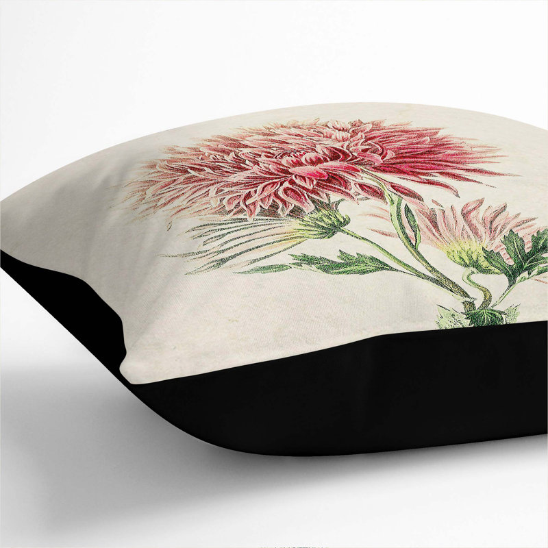 Illustration of Pink Chrysanthemums Cushion with Filling, Black, 40cm H x 40cm W x 15cm D