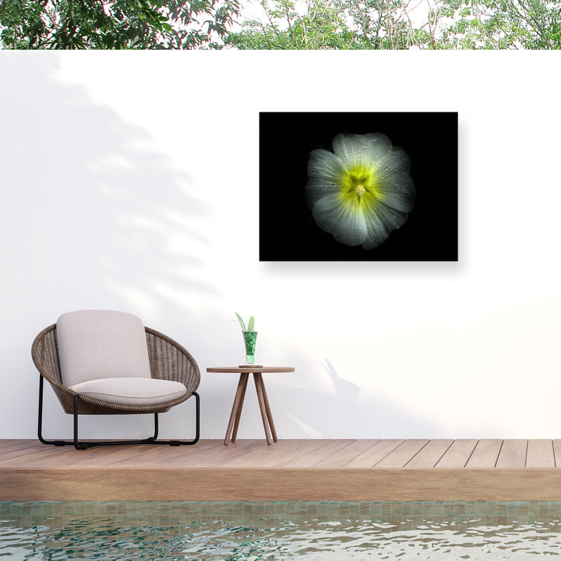«Ologia »sur toile, H 24 po x l 32 po