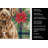 Chocolate Labradoodle Christmas PoinsettIas Kitchen Towel-2080583856