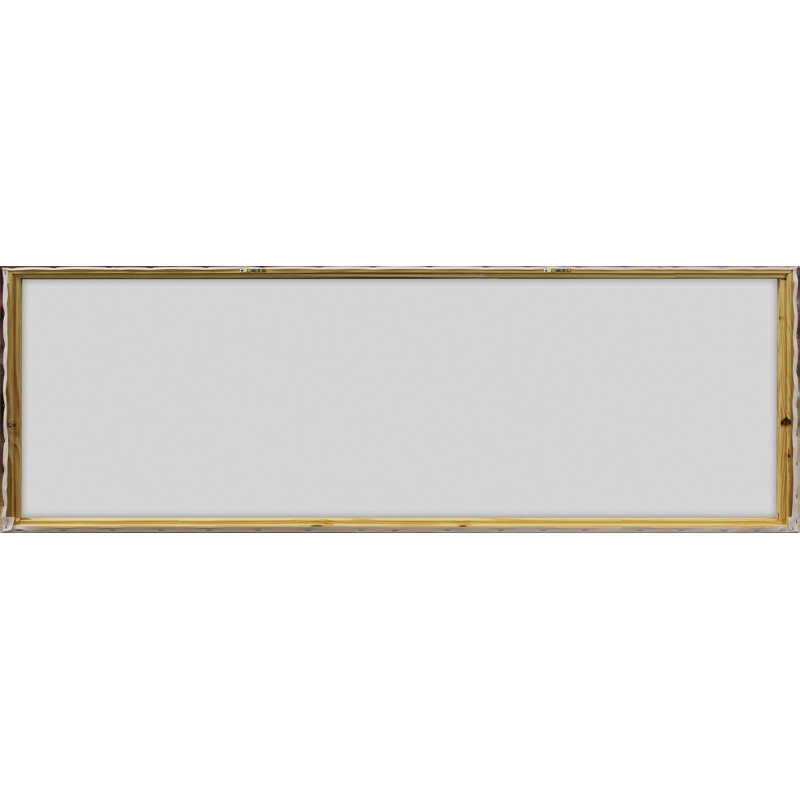 Parvez Taj - Wrapped Canvas Print, 25cm H x 76cm W