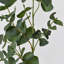 Branche d'eucalyptus artificiel Audet (1 tige)-1336703799