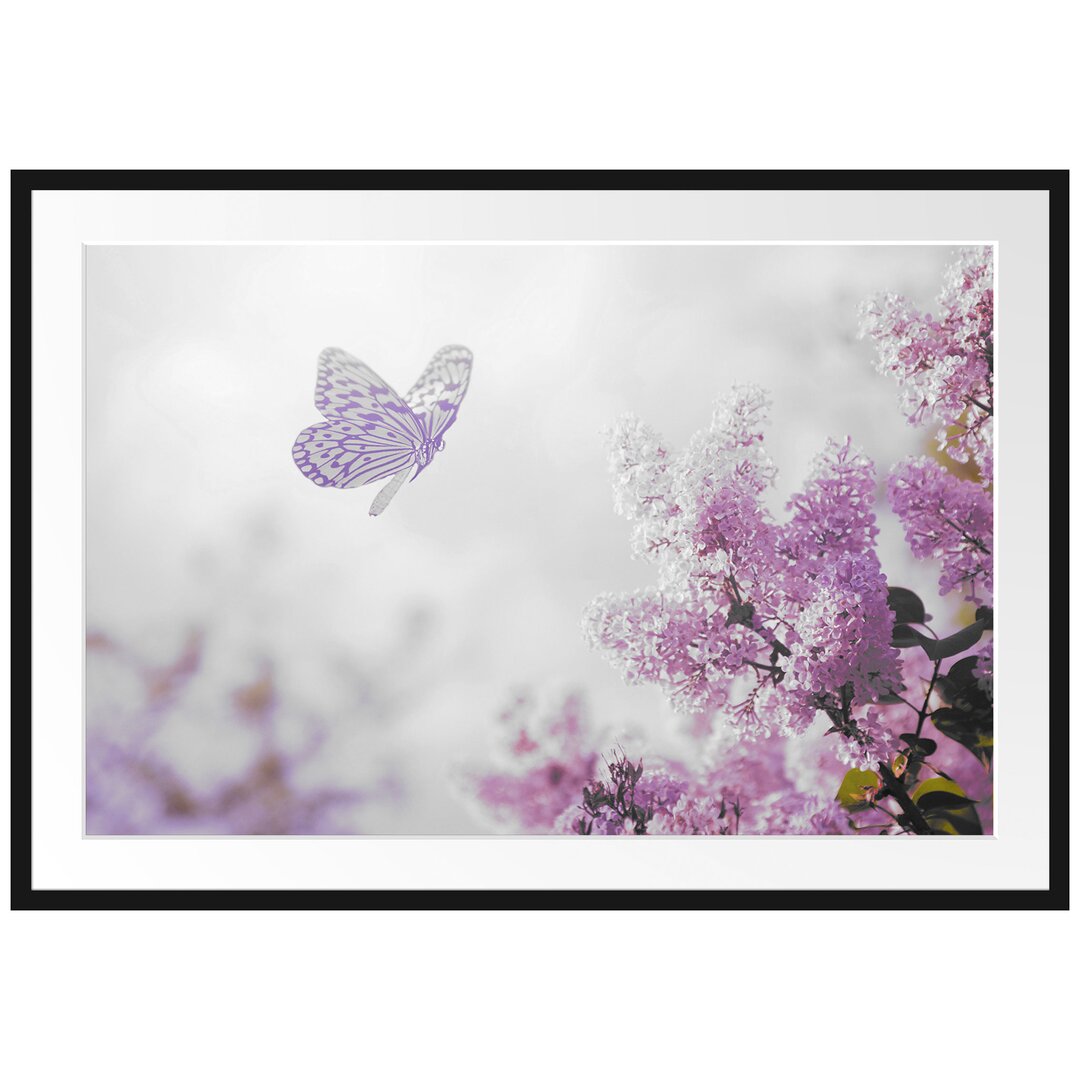 Gerahmtes Poster Schmetterling Kirschblüten