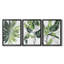 «Expressive Palm I», ensemble de 3 impressions sur toile encadrées-755538715-755538917