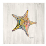 Starfish Print by JP Kilkenny