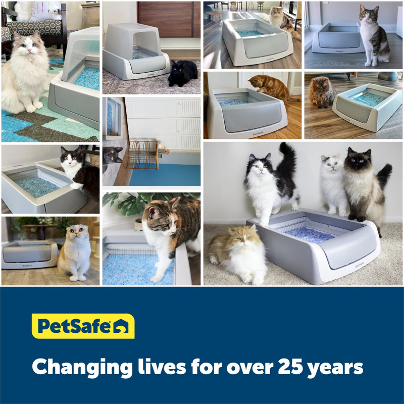 Gray Automatic Self-Cleaning Cat Litter Box with Crystal Tray