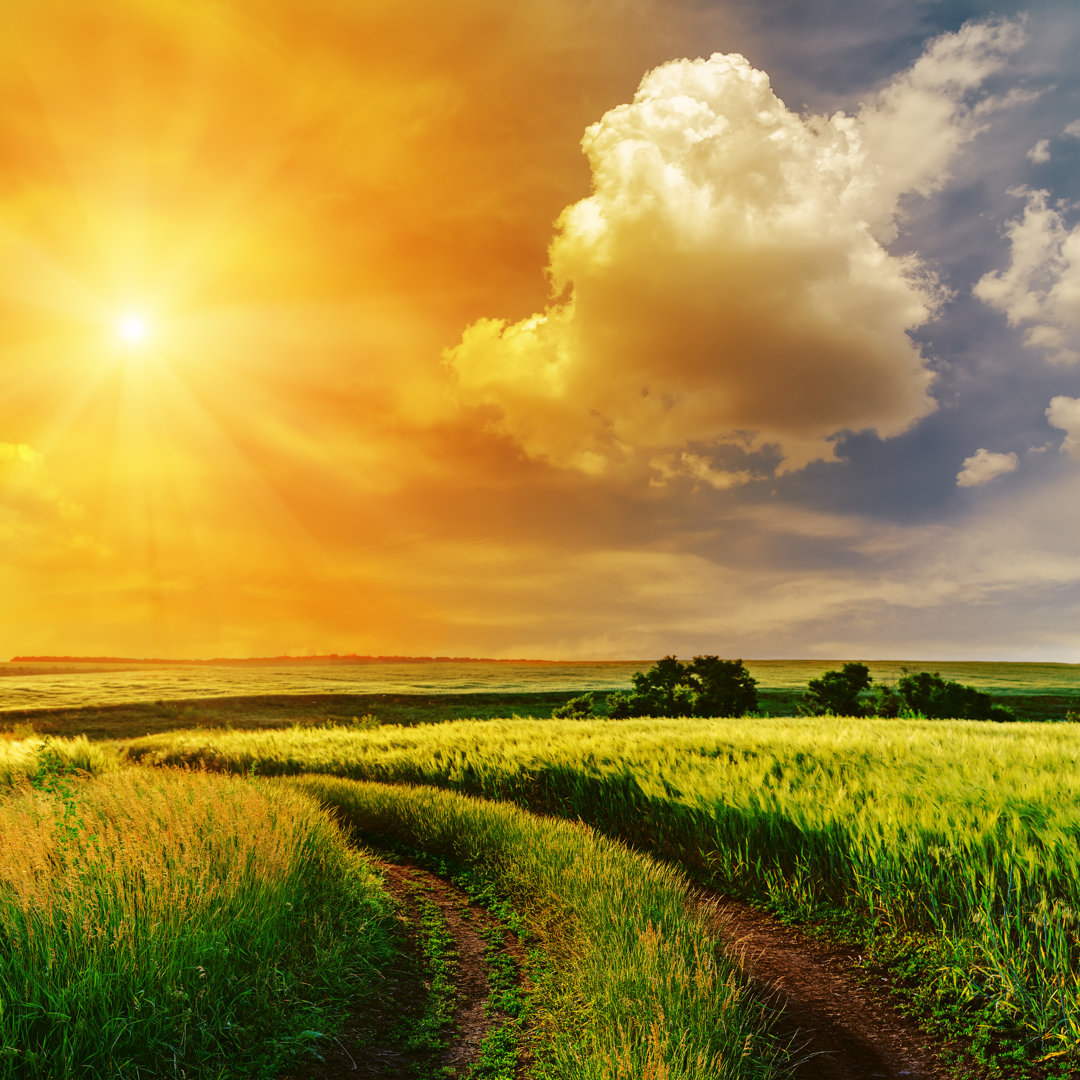 Orangefarbener Sonnenuntergang in dramatischem Himmel über einer Straße in grünem Gras by Mycola - Drucken