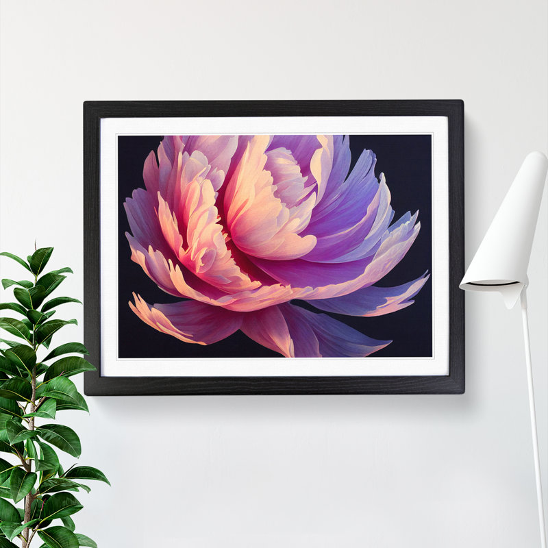 Incredible Peony Flower - Single Picture Frame Print, Black, 25cm H x 34cm W x 2cm D