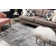 Brandt Geometric Indoor Rug