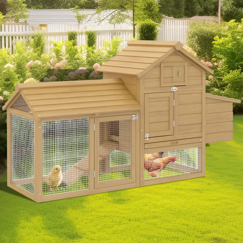 Chicken Coop