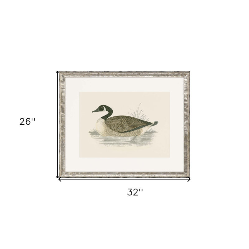 Canada Goose Silver Framed Print Wall Art
