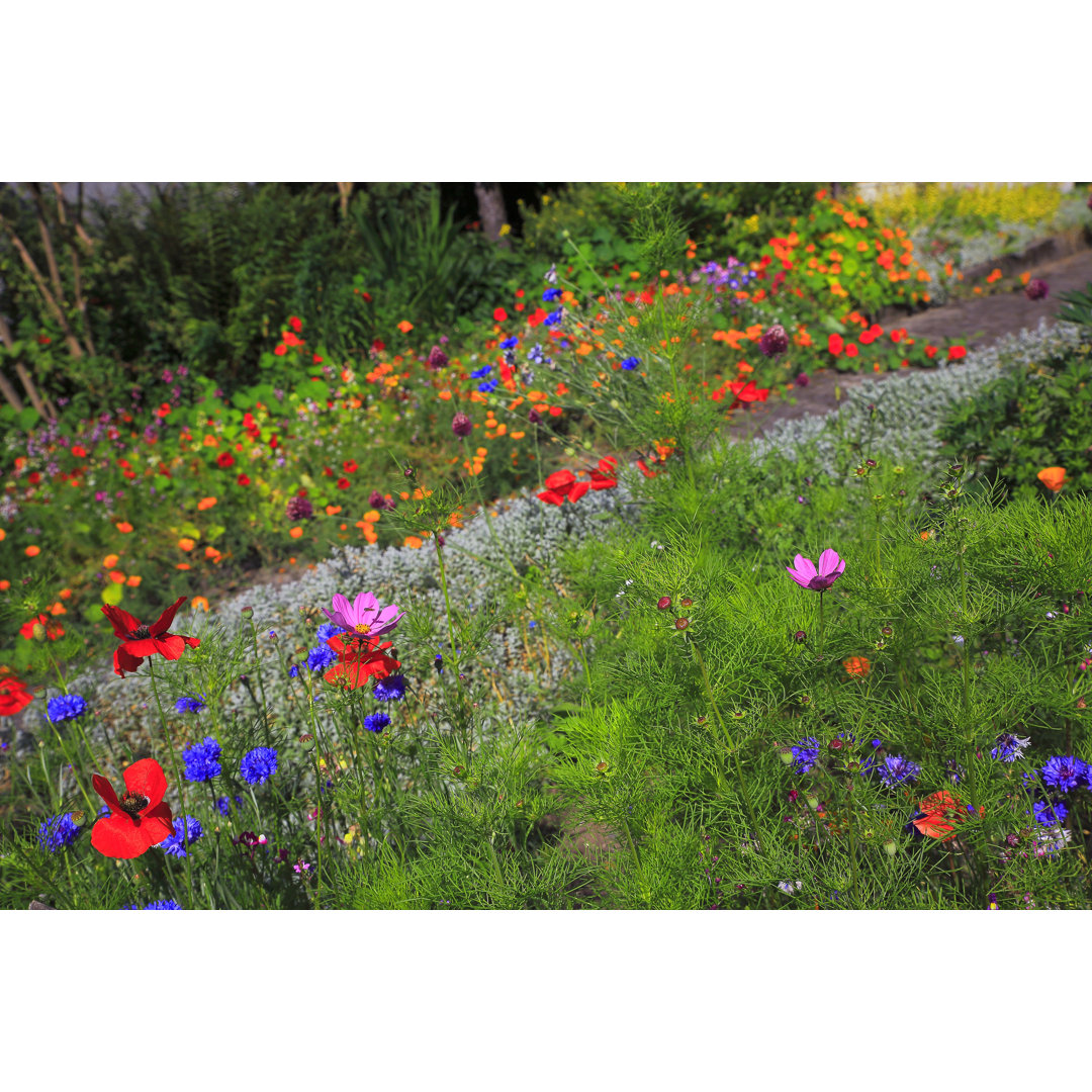 Bunte, leuchtende Wildblumen von Agustavop - Druck