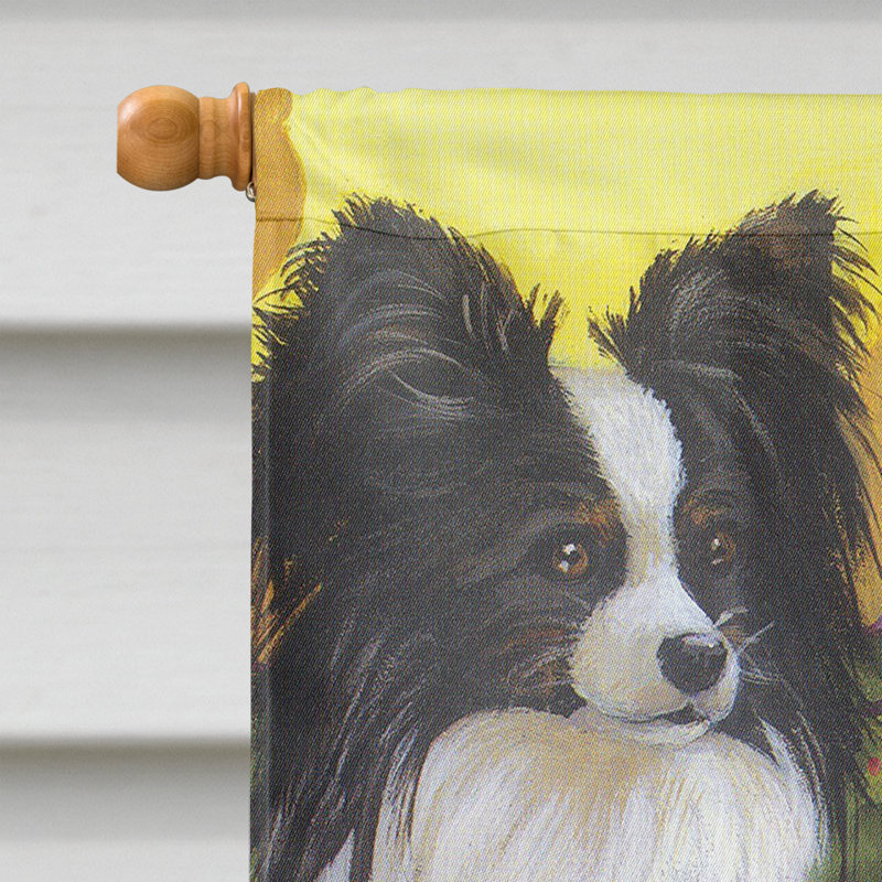 Drapeau de maison Hvidovre Sheltie Halloween en polyester à 2 faces 3 x 2 pi, Papillon amis de fête