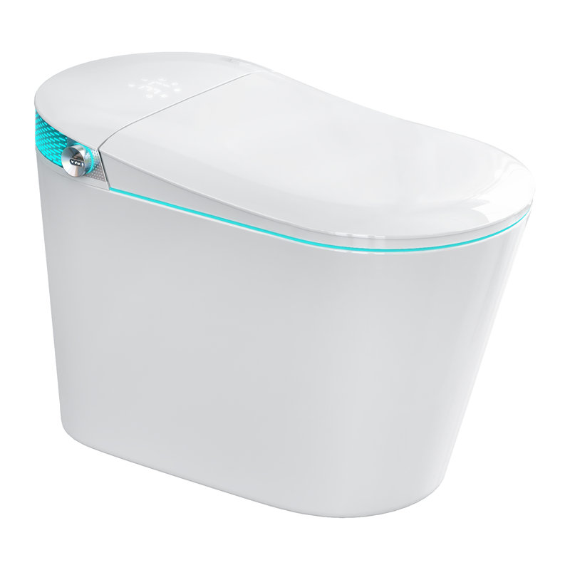 Dual-Flush Elongated Bidet Toilet (Seat Included), White