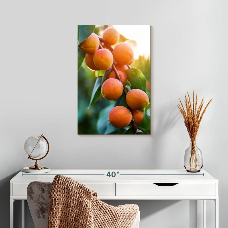 Abricots sur une branche, H 24 po x l 16 po