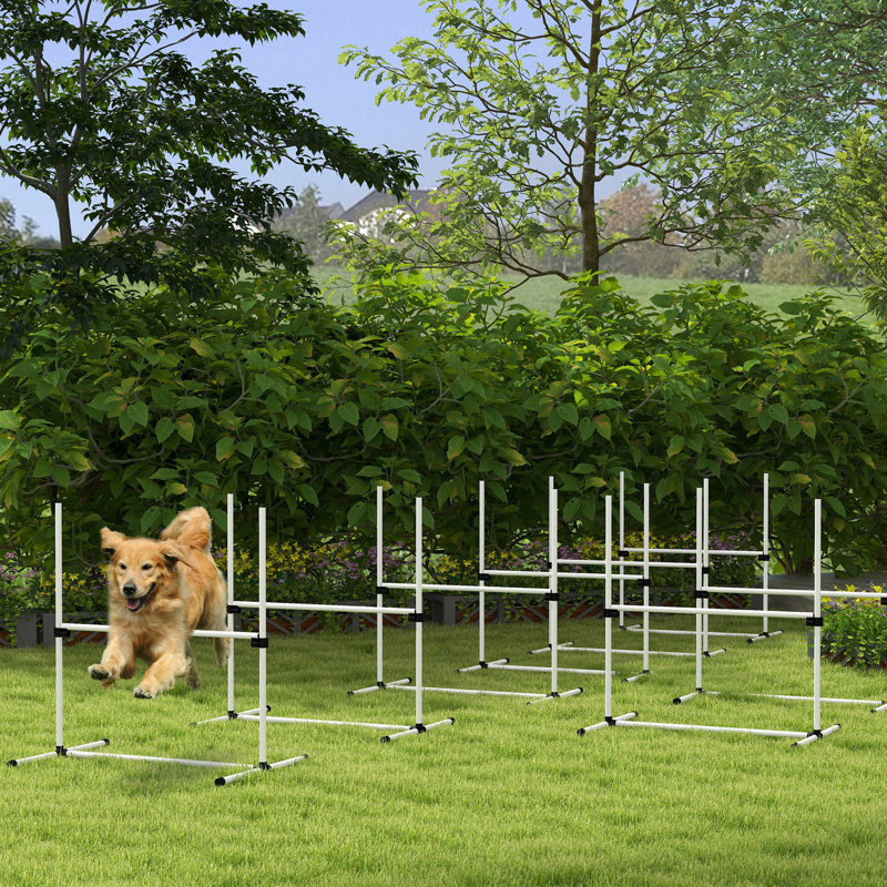 8 pièces pour chien, formation à l'agilité, hauteur réglable, sac de transport, barres blanches,