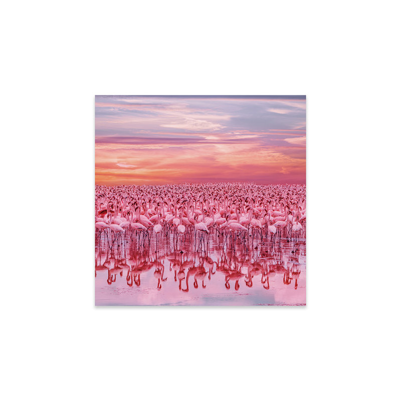 «Flamingo's Sunset» par Hobopeeba - photographie sans cadre, H 24 po x l 24 po x P 0,25 po
