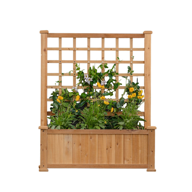 Golden Brown Cedar Wood Planter with Trellis