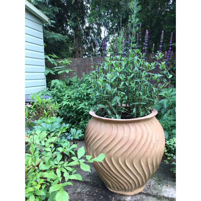 Mairead Handmade Pot Planter, Medium