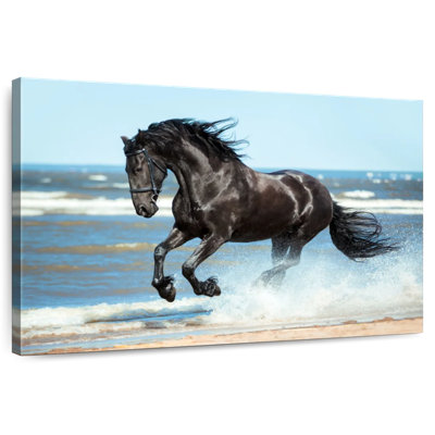 Friesian By The Beach