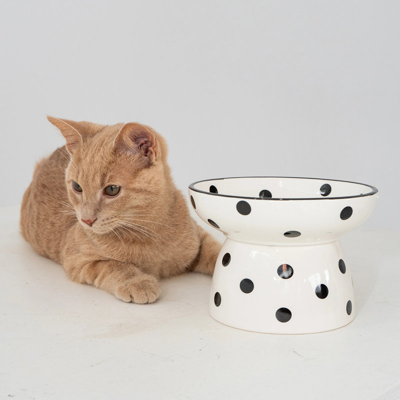 Dexypaws: bol pour chat surélevé en céramique - à pois - 8,7 oz, repas élégant pour animaux de compagnie, repas, nourriture et eau, hauteur ergonomique, surélevé