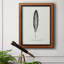 Toile encadrée Found Feather II - prête à être accrochée-2072283621
