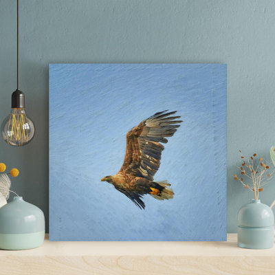 Brown And White Eagle Flying Under Blue Sky During " Brown And White Eagle Flying Under Blue Sky During Daytime " Painting Print