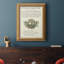 Ex-libris imprimé sur toile IV-931069403