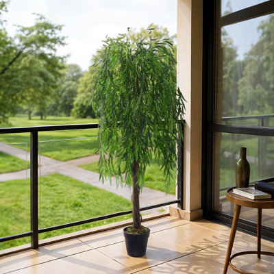195cm Plant