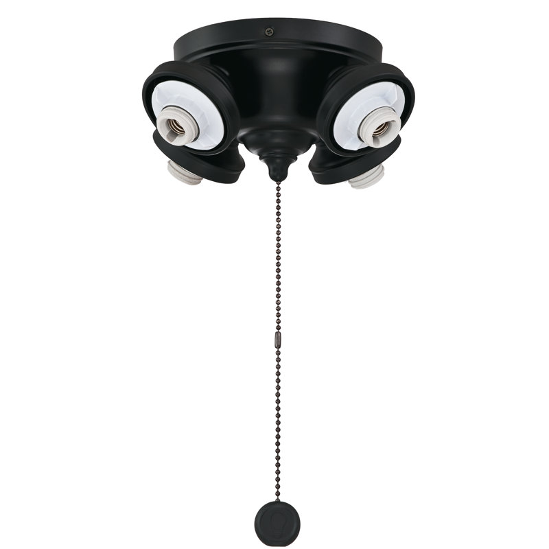 Black Four Light Fitter with LED Bulbs