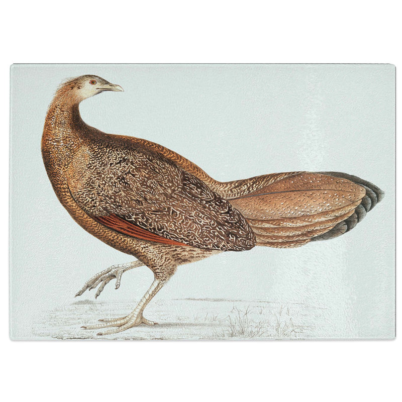 Tempered Glass Argus Pheasant Illustration Chopping Board, 39 cm W x 28.5 cm L