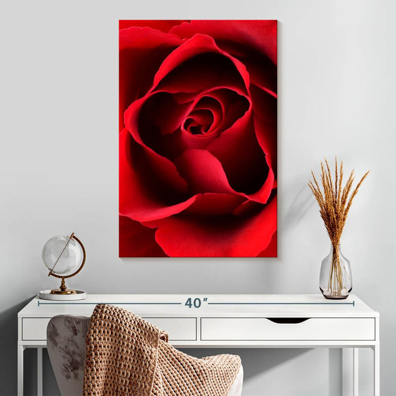 Harnek, gros plan, vue, rose rouge, H 30 po x l 20 po