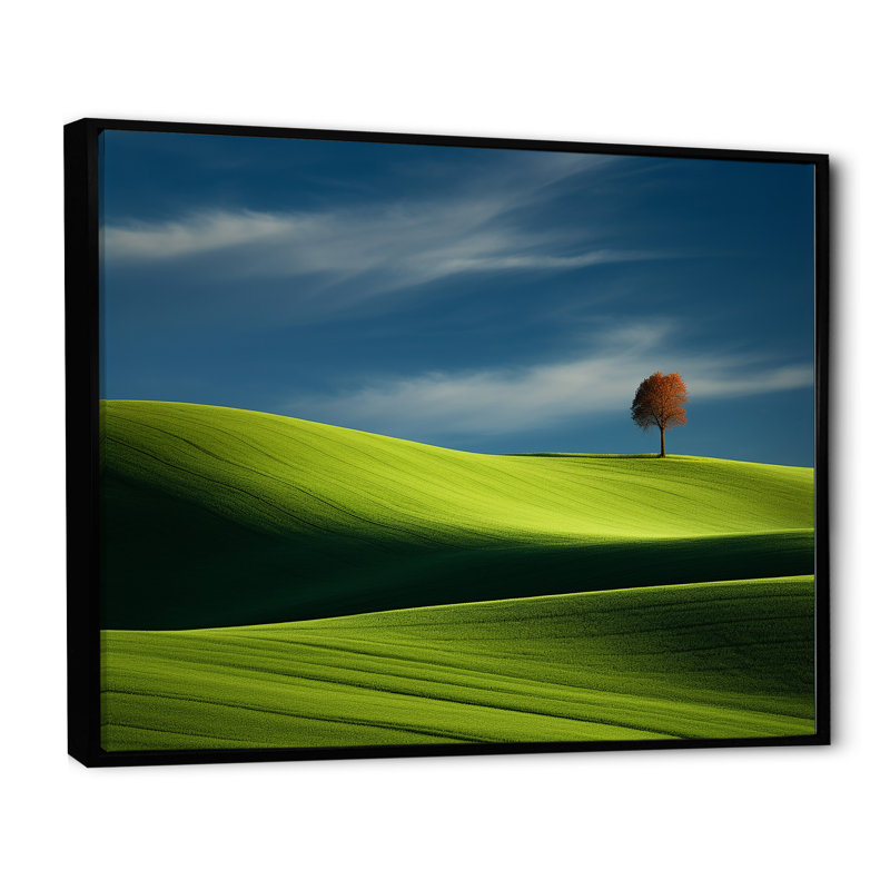 «Green Monicol Meadow», photo I sur toile, H 34 po x l 44 po x P 1,5 po, Cadre flottant noir