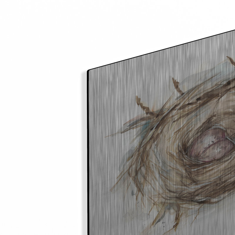 «Bird Nest Study IV» par Ethan Harper, H 12 po x l 12 po