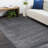 Hand Knotted Striped Indoor Rug-445141250