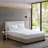 Cotton Percale Quilted Mattress Pad