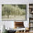 " Paintograph Olive Trees "-704303271