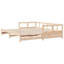 Rezo Solid Wood-1824206857-1824206858