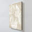 "Neutral Coral II" by Carol Robinson Print on Canvas-382242958
