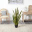 Bleecker, plante serpent artificielle en pot-1456223625-1456223626