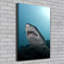 Big Shark - Wrapped Canvas Print